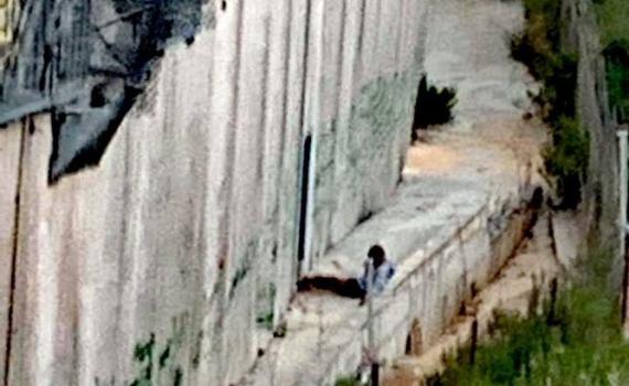 צה"ל לכד חשוד שהסתנן לישראל דרך גבול לבנון