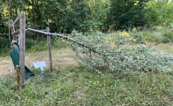 זעזוע בגרמניה: עצים נכרתו באנדרטה לזכר השואה