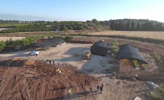 קנס של 80 אלף ₪: פלישה בדואית נוספת סולקה