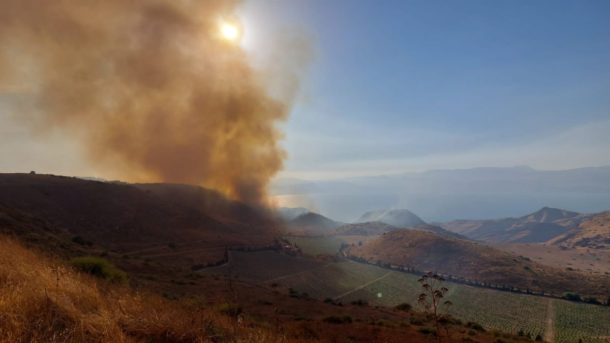 השריפה בגולן ממשיכה להשתולל, בתים פונו בכפר חרוב