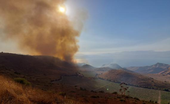 השריפה בגולן ממשיכה להשתולל, בתים פונו בכפר חרוב