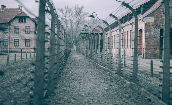 ספרו הראשון של מיכאל טוכפלד| ביקורת ספרים