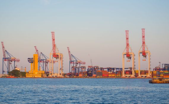 למרות המתקפה על אודסה, בקייב לא יעצרו הייבוא