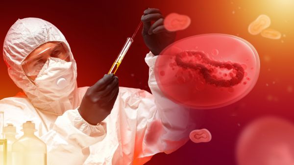 משרד הבריאות: אלו הזכאים לחיסון נגד אבעבועות הקוף