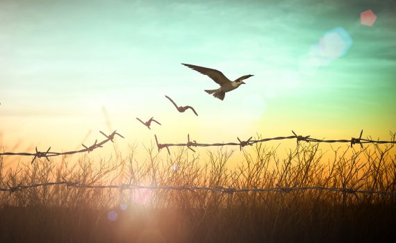 הילדה שהביטה ברכבות החולפות | ביקורת ספרים