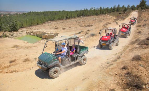 פעילות פסח תשפ"ג בגוש עציון | כל מה שטוב, קרוב!