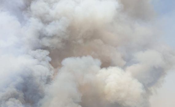 השריפה בסמוך לנהר הירדן: 10 מטוסי כיבוי בפעולה