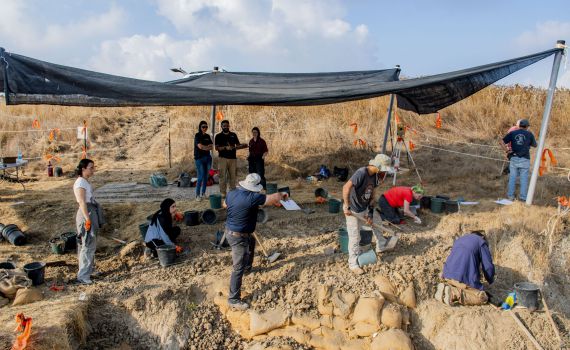 תגלית נדירה בדרום: חט של פיל מלפני חצי מיליון שנה