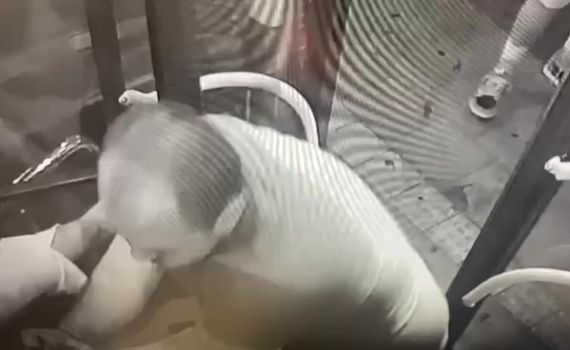 צפו: תקיפה חמורה של נהג מטרונית בחיפה