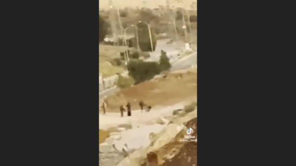 כוכבי על הכאת הפלסטינים: מעורר שאט נפש