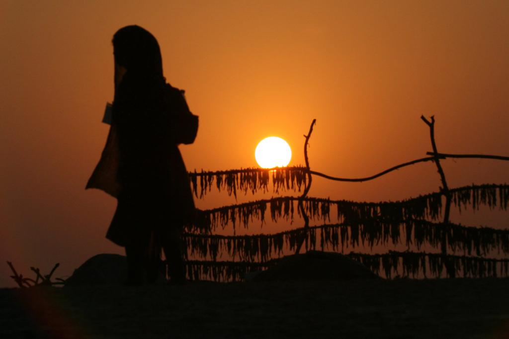 כל קרוואן הוא סיפור: "אמצע שום מקום" // ביקורת ספרים