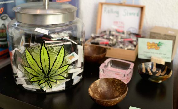 בקרוב: כל רופא יוכל להנפיק מרשם לקנאביס רפואי?