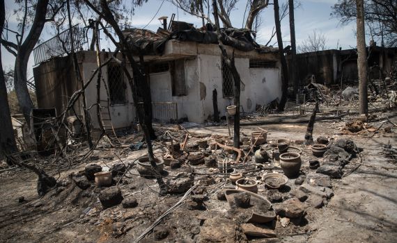 שריפה ביער בן שמן: 6 צוותי כיבוי פועלים במקום