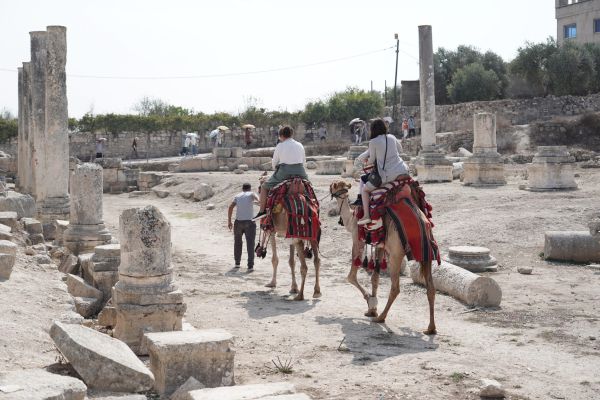 המאבק בהרס העתיקות ביו"ש: יגויסו פקחים נוספים
