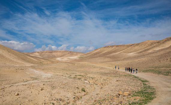 יש לכם רעיון לשיר על העיר ערד? בואו לעשות מזה קופה