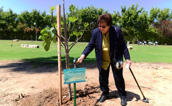 היום בהיסטוריה: 400,000 יהודי רומניה ניצלים ממוות
