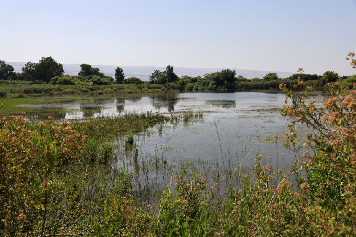 אזהרה למטיילים: הנחלים שמסוכן להיכנס אליהם