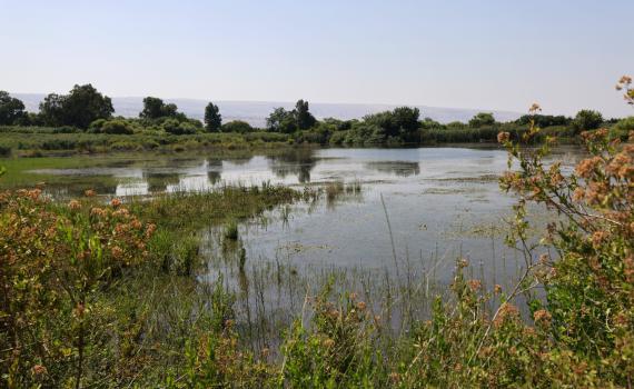 אזהרה למטיילים: הנחלים שמסוכן להיכנס אליהם
