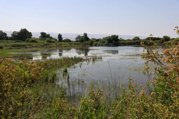 אזהרה למטיילים: הנחלים שמסוכן להיכנס אליהם