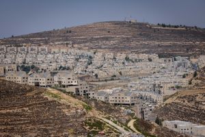 קניתם שם? המועצה מיו"ש נגד "עוקץ מכירת הקרקעות"