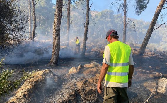 שריפה פרצה בהר תבור: כוחות כיבוי נמצאים במקום