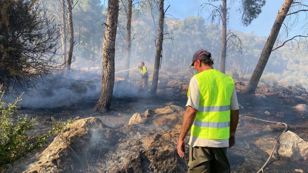 שריפה פרצה בהר תבור: כוחות כיבוי נמצאים במקום