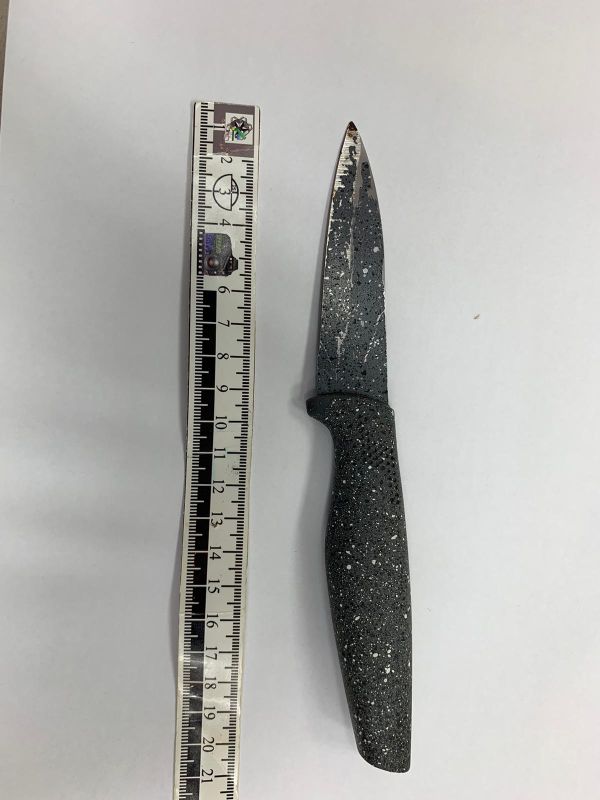 ניסה להיכנס לביתה של קשישה כשעל גופו 2 סכינים