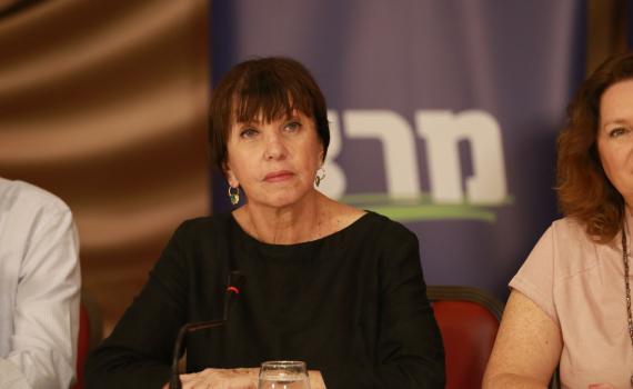 זהבה גלאון קוראת לשלוח כיפות ברזל לאוקראינה