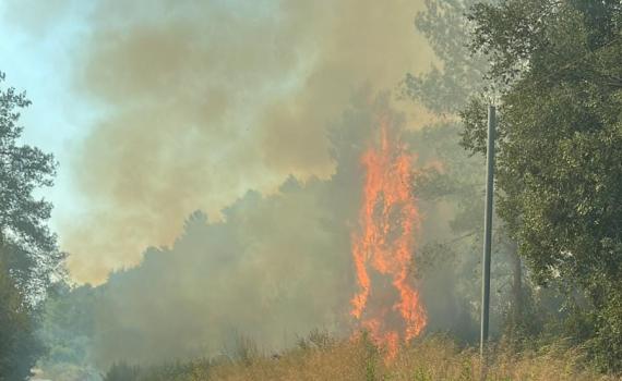 שריפה פרצה ליד בית מאיר, עשרות צוותי כיבוי במקום