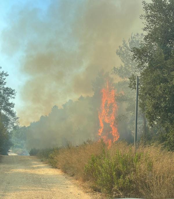 שריפה פרצה ליד בית מאיר, עשרות צוותי כיבוי במקום