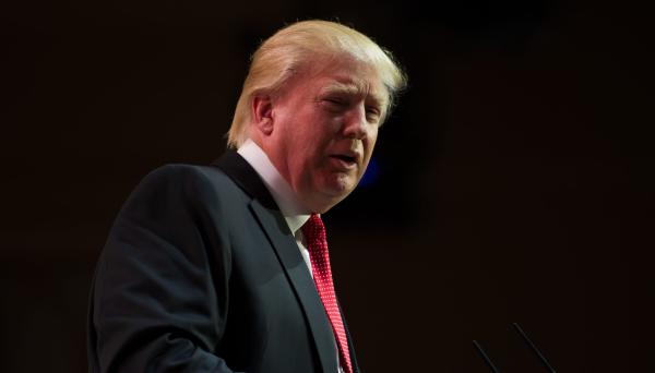 "הם משתמשים ב-FBI ככלי נשק נגד טראמפ"