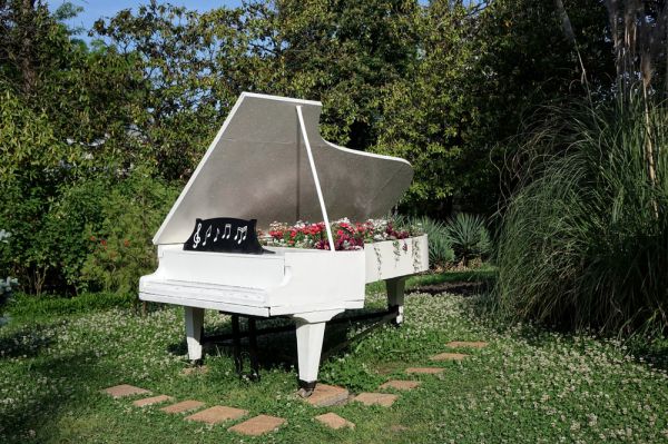 "כוכבים ביער": הצטרפו לפסטיבל של מוזיקה וטבע