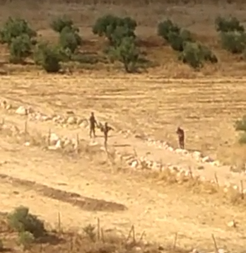 צפו: מחבל ניסה לחטוף נשק מחייל צה"ל ונוטרל בירי