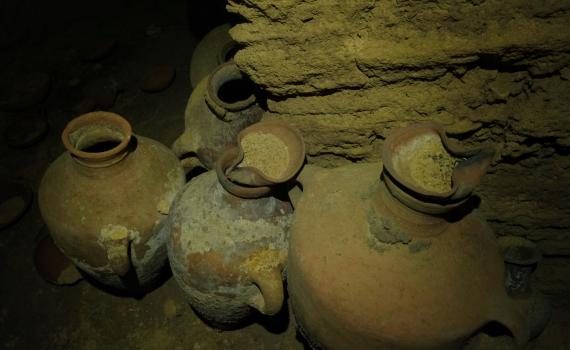 מערת קבורה מימי פרעה התגלתה בחוף פלמחים