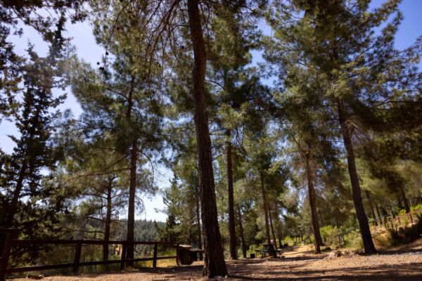 רק 2 ממארגני מסיבת הטבע בה נהרגה טוהר דוד הורשעו