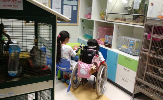 הופכים עולמות בשביל הילד: ביה"ס שבתוך בית החולים