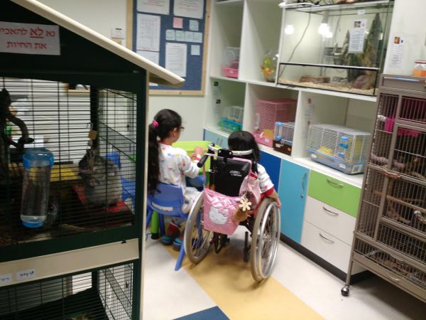 הופכים עולמות בשביל הילד: ביה"ס שבתוך בית החולים