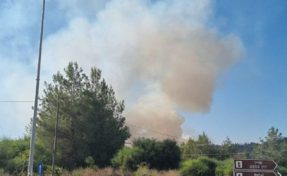 שריפת קוצים בין לטרון לשער הגיא, צוותי כיבוי במקום