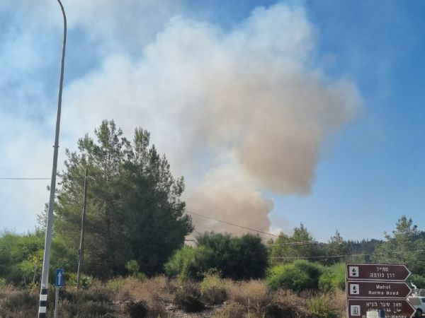 שריפת קוצים בין לטרון לשער הגיא, צוותי כיבוי במקום