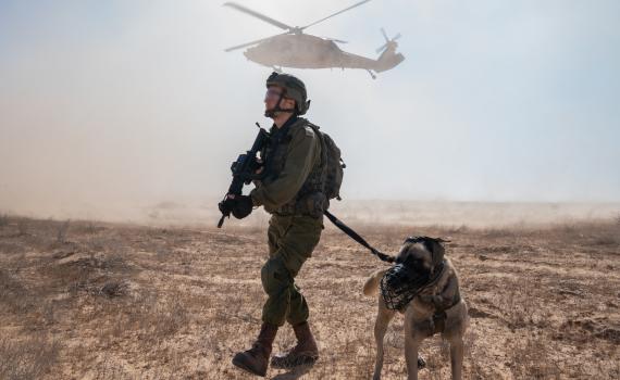 צפו: תצוגת תכלית של צה"ל לרמטכ"לים זרים