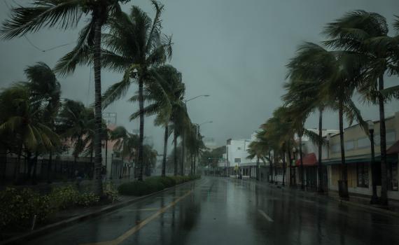 הוריקן איאן מכה בפלורידה. התחזית: קטסטרופה | שידור חי