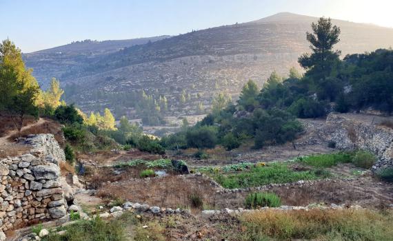 פסטיבל ייחודי: צעדת עלייה ברגל מגוש עציון לירושלים