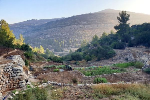 פסטיבל ייחודי: צעדת עלייה ברגל מגוש עציון לירושלים