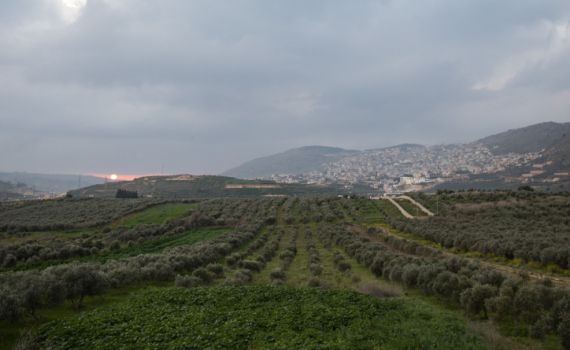 ירידה בטמפ'; גשם ושטפונות: תחזית מזג אוויר
