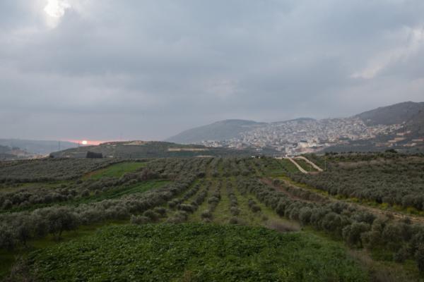 קריר, מעונן וגשם: תחזית מזג אוויר לשבוע הקרוב