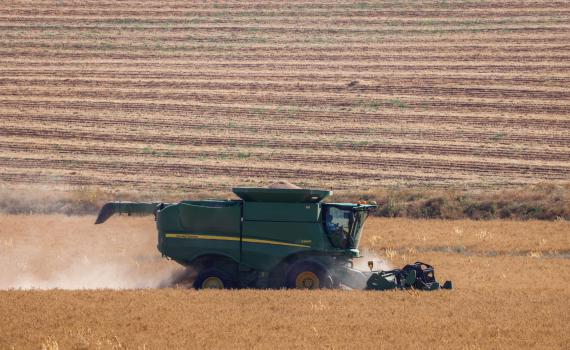 בחפץ חיים חושפים נתונים: הרווחנו כפול בשנה השישית
