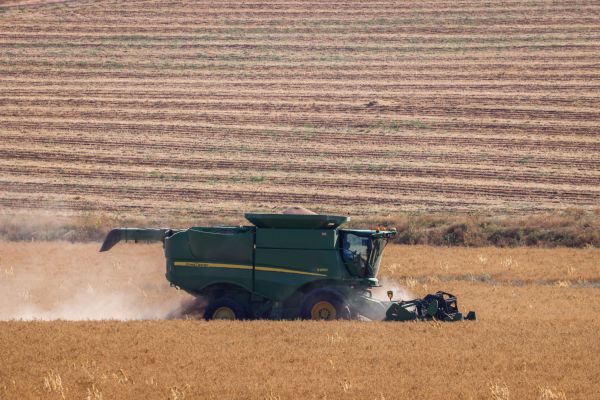 בחפץ חיים חושפים נתונים: הרווחנו כפול בשנה השישית