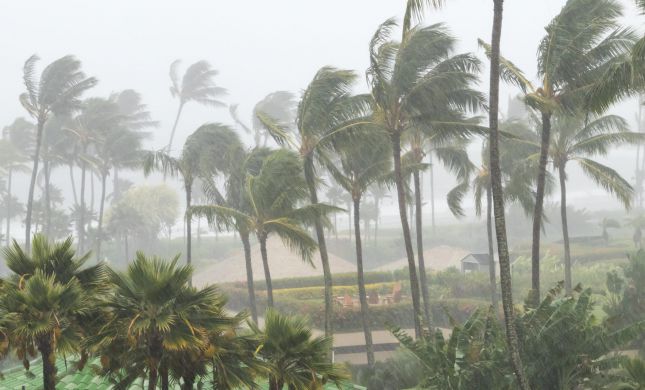  הוריקן "איאן": מספר ההרוגים ממשיך לטפס