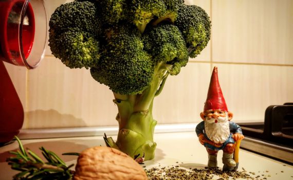 קלאודיו בירן בויד, יוצר "טוב טוב הגמד" הלך לעולמו בגיל 81