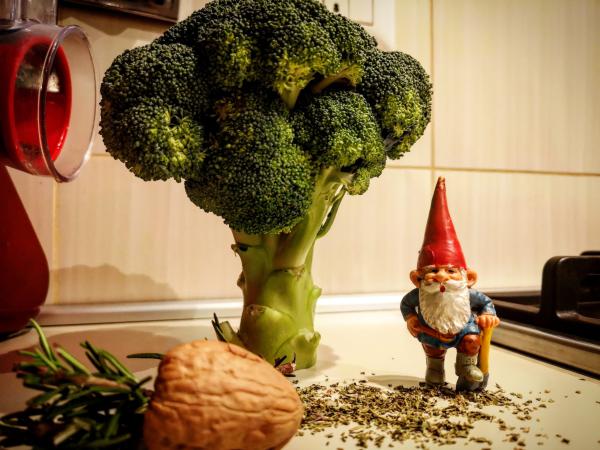 קלאודיו בירן בויד, יוצר "טוב טוב הגמד" הלך לעולמו בגיל 81